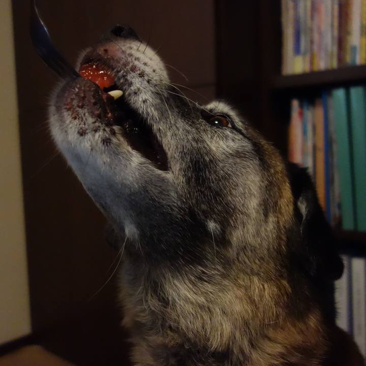 128e7f40 09d2 4786 a566 684b2ceaea37 1643849370021