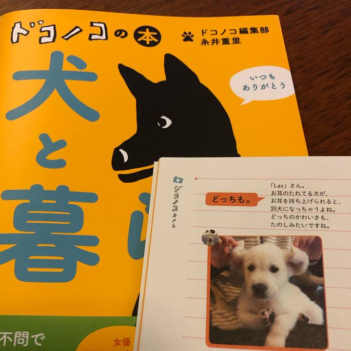 128e833e bb63 454d a1eb f5d5e4c62b42 1556274166885