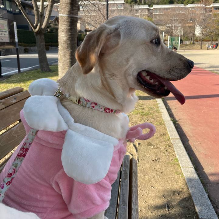 128e973c 968b 482e 8f06 c681e58a6bc1 1641633964886