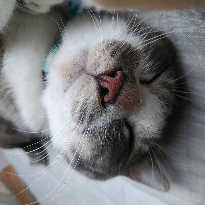 128eb9d0 2320 44ff a952 51b27841d939 1593491397599