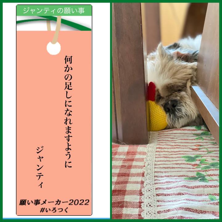 128ed01f 2e94 43c8 b2d3 056098bea783 1657161475836