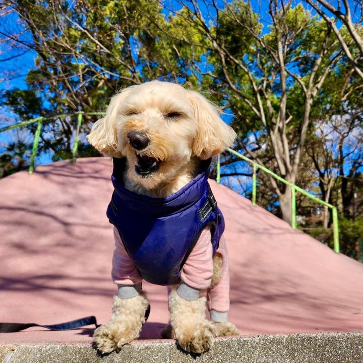 128ef22d 91ce 476d 8e44 89aadf46b612 1768968458012