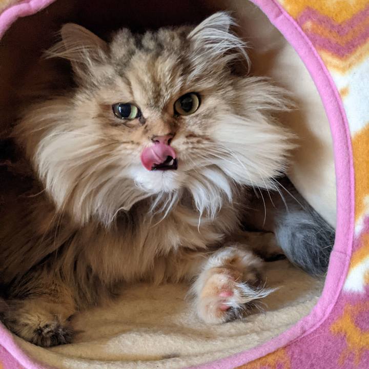 128ef81a 75da 4ba4 a811 d3fb37d143a8 1640657625166