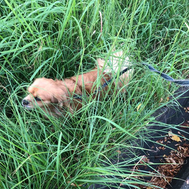 128efab3 f997 4315 aef6 32a1cadb738b 1568843859243