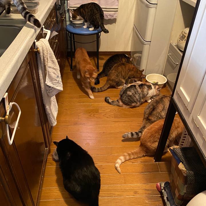 128f316a 5de0 4733 9af0 3afb9cf4a991 1587287656347