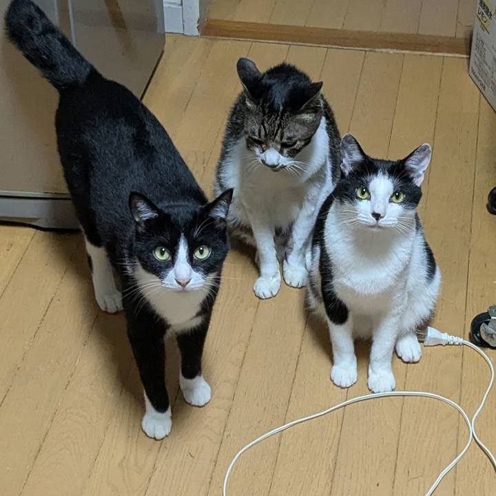 128f3436 a8eb 4041 a366 c774917cb141 1754410545514