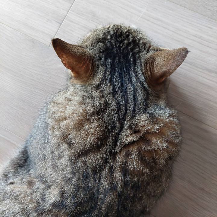 128f3e87 8b2d 4233 bc8a d15cd5871b66 1687564020326