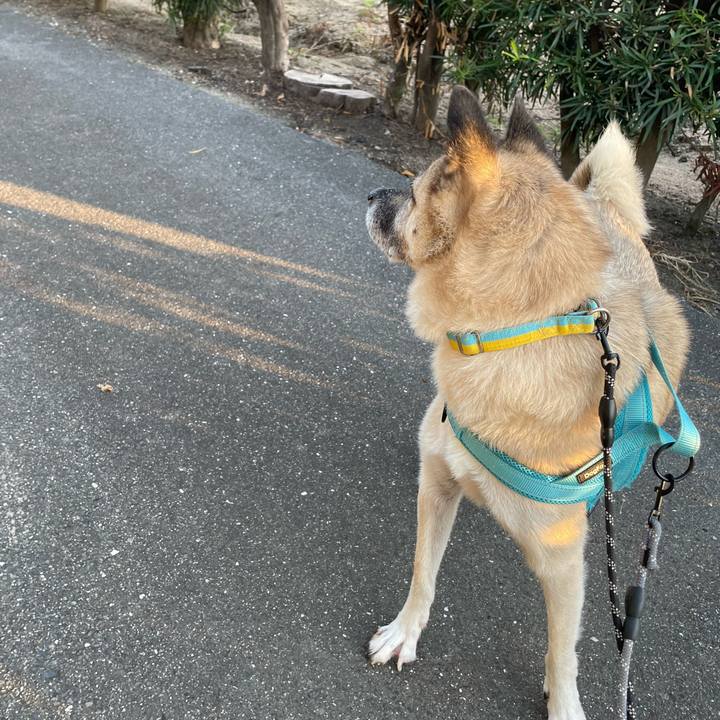 128f44b1 b041 4e9f a38c d9168b2566aa 1729859485986