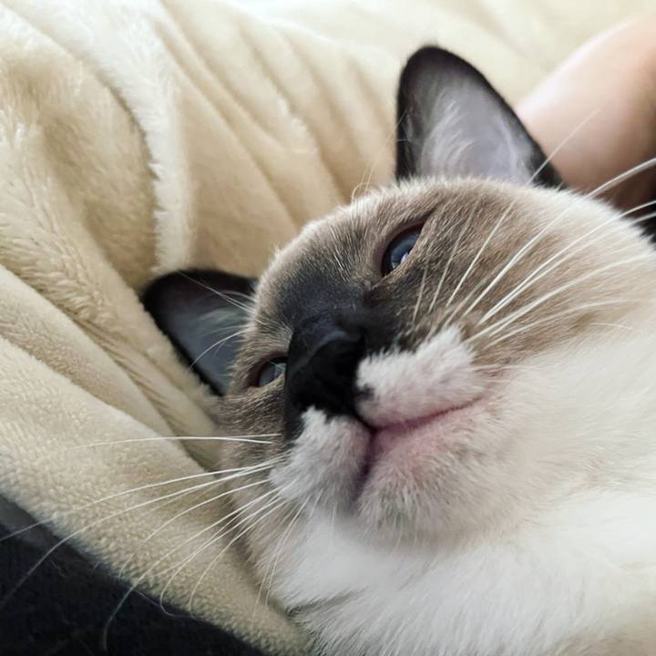 128f5b27 f281 4e9e a56d 621a77dda727 1668070580720