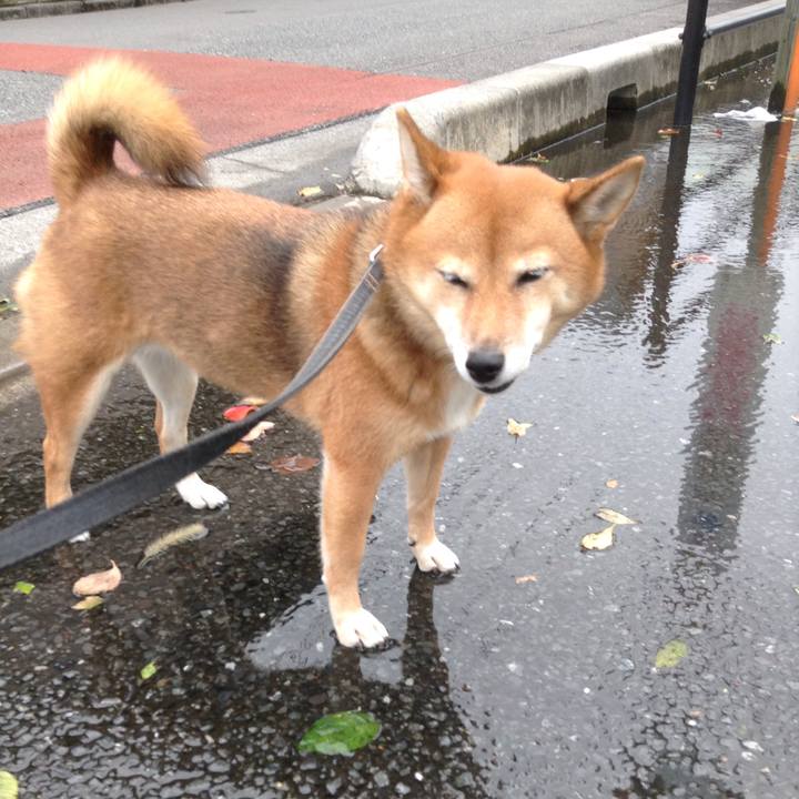 128f6beb 3561 40dc a850 794932afa6fe 1508717193147