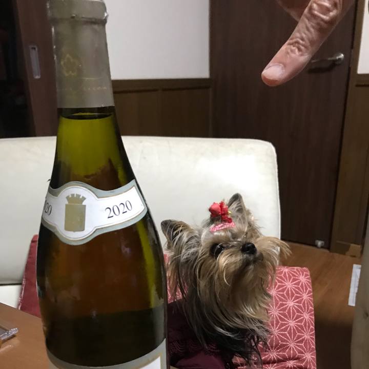 128fe5b3 ce00 49fe 9f90 bdd2abda9b6a 1663576460069