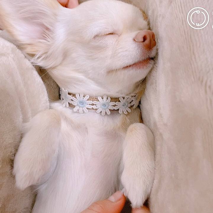 128ff749 b0e4 472f a42b efbbc0616f0e 1608644851765