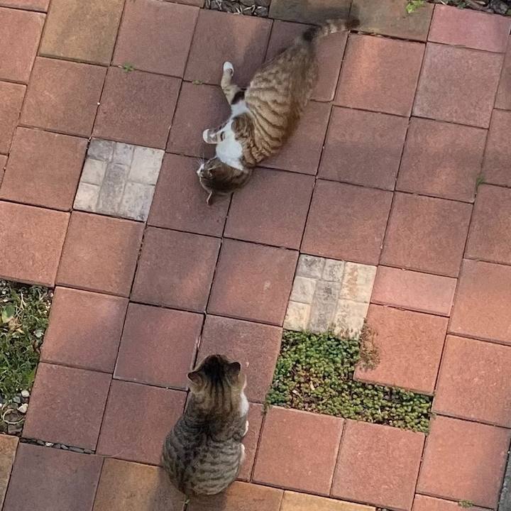 128ffd7b 8215 4083 a538 f6d617132b34 1748486262367