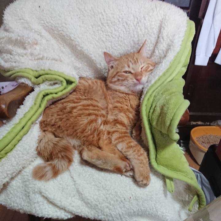 128ffdd9 3710 4e4f b851 61b156409b27 1640918326042