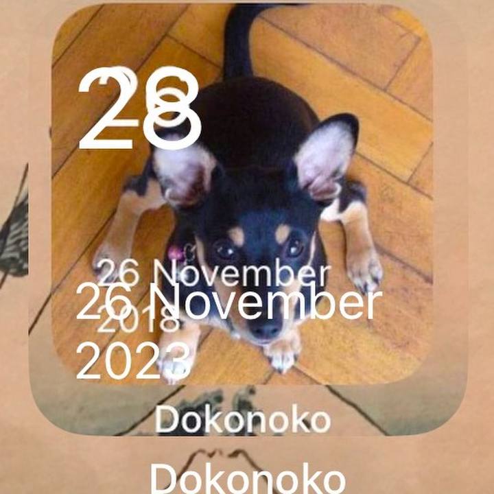 129014bd 075e 472a bf67 d408cc86bb44 1764337807581