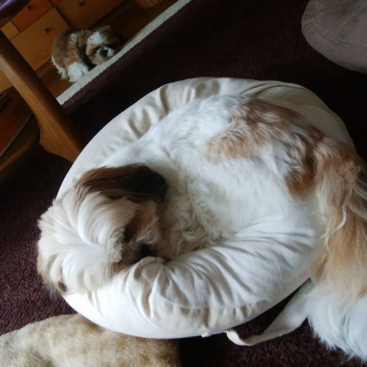 129015ca aac3 4c42 8dba a6abee05ac51 1539221155771