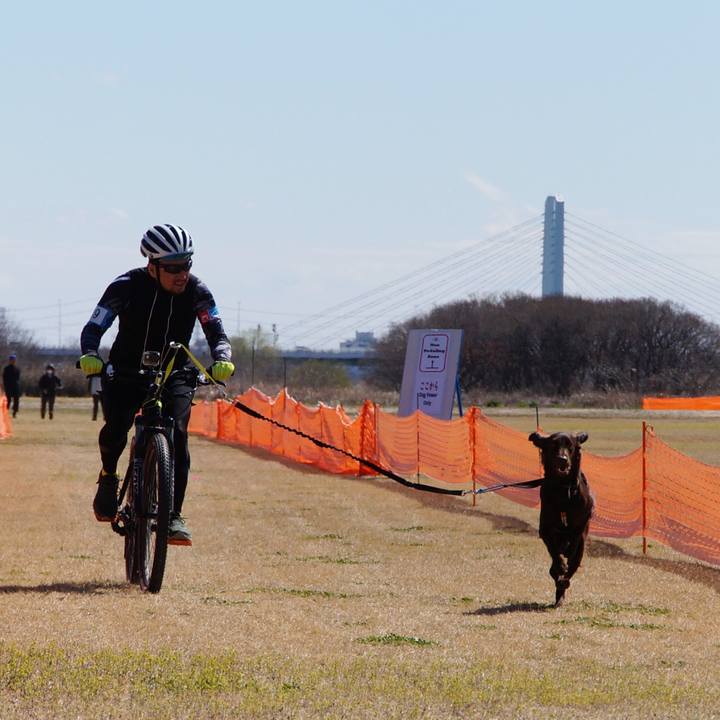 12901ed0 2cef 45c2 90e8 31816bb86a00 1585269688267