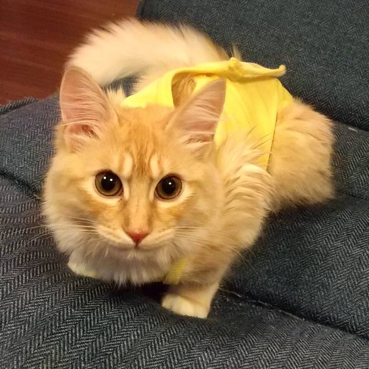 12902154 cd6b 4595 89bf 517b51ab26aa 1614775676846