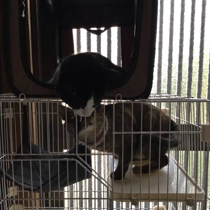 12905176 b6d0 43da b543 5948e9fdddef 1653292695155