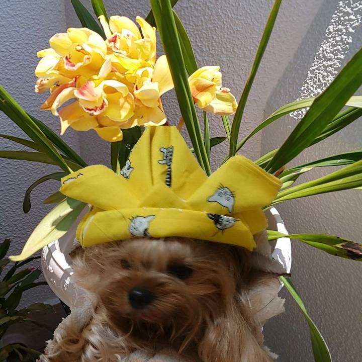 12907e9c 3c1b 4bd8 8213 374358deb17f 1651717491406