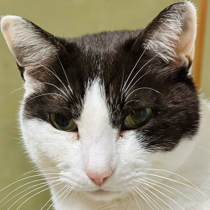 1290a1ed 7064 4c1f ba13 d101400c911a 1682386647747