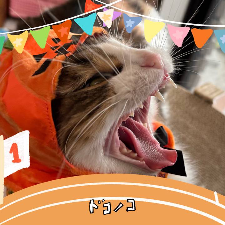 1290dde2 676c 42fb ba06 4bd47b54afd0 1761958446090