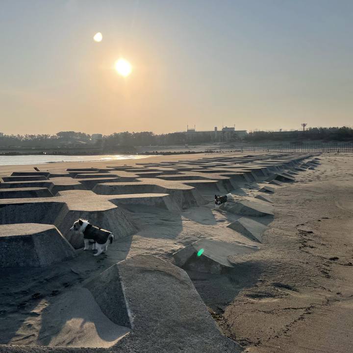 1290ead9 627e 484b 97f7 ad24f9b98e5f 1740698371159