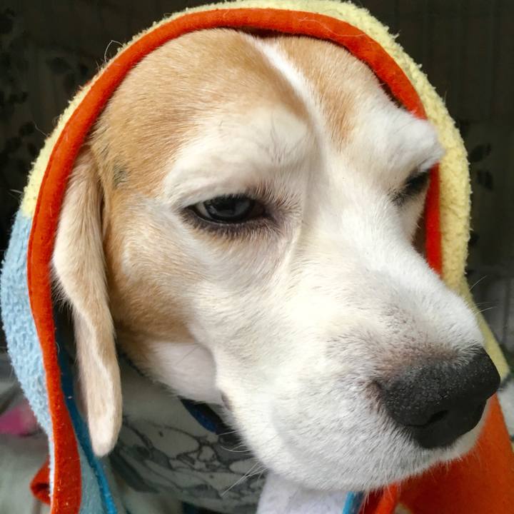 129124e4 3450 445b a6e5 a6365935611f 1749555619917