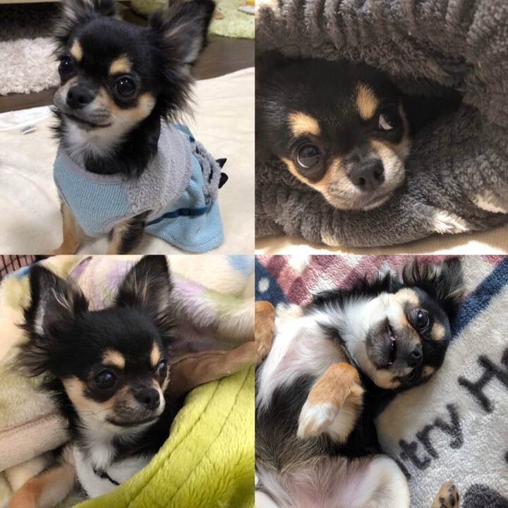 12914456 1cc0 4c35 b2c5 d79a8bd68b76 1571211841417