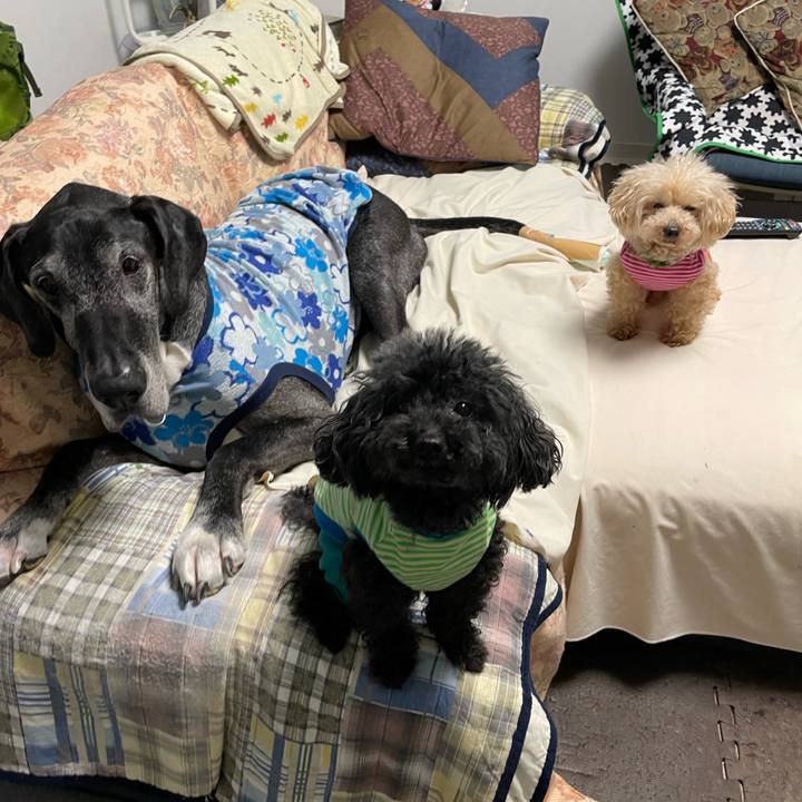 1291499b 6f18 4cea 8810 6ab9ca2ef85c 1650236536547