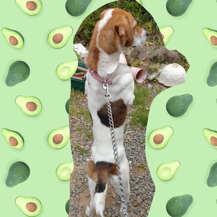 129178fc 9b73 4a73 a2e2 f653c30fce51 1587883871799