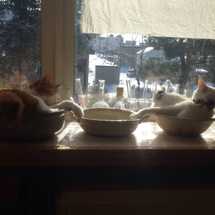 1291e944 bb01 4e5c 9695 997bcb8f059b 1516409653227