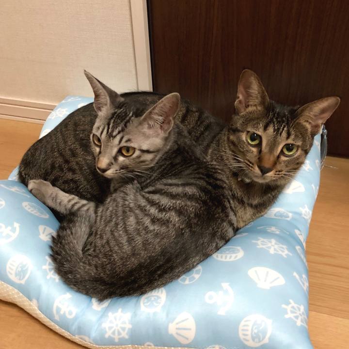 1291f296 8615 4c08 847c 917670bb06d7 1535640138734