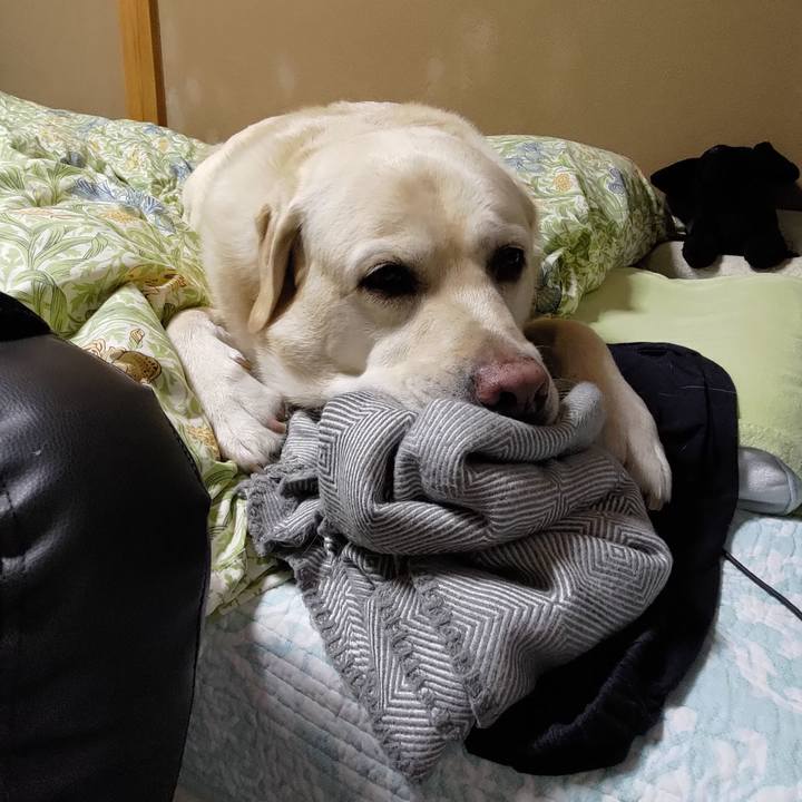 1292202d e76c 412e a837 010bccfbd2aa 1693357079443