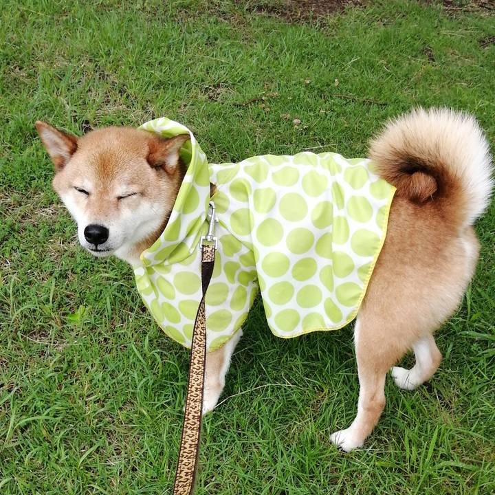 12924428 dd2f 4b52 bf1e d138553c8e13 1594685546004