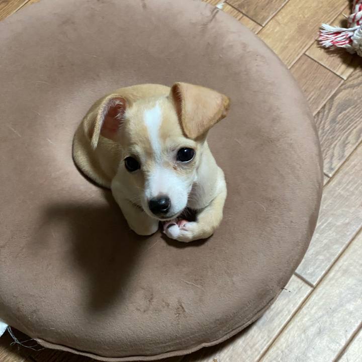 129284cb 4dde 43bb 8e50 ef616fc2088a 1661820672702