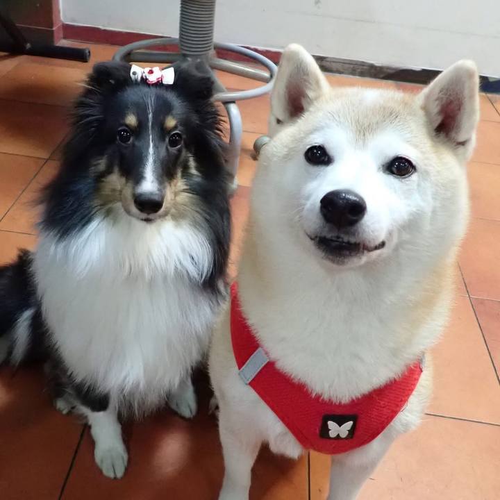 1292b132 c524 4233 b2ca 923ece7a00bd 1734127385896