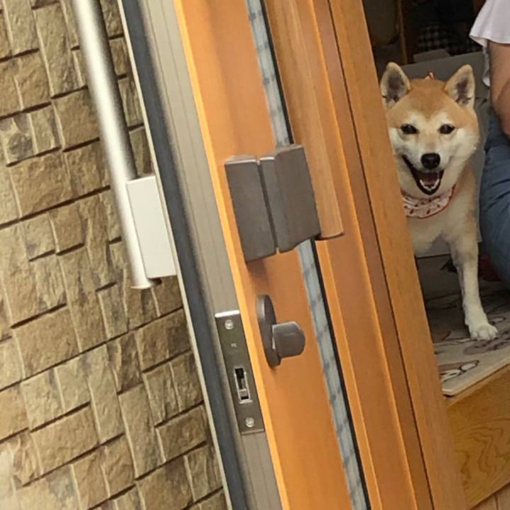 1292b20b de96 4d1e 9fd5 f6cc76280224 1563715066517