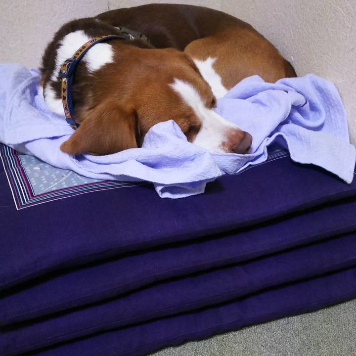 1292c06e 80a3 4276 a1ea fd22fd41802b 1581151112643