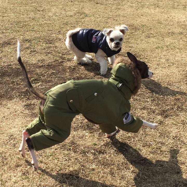 1292e555 85e6 43fd b409 4a27926820e2 1549792732012