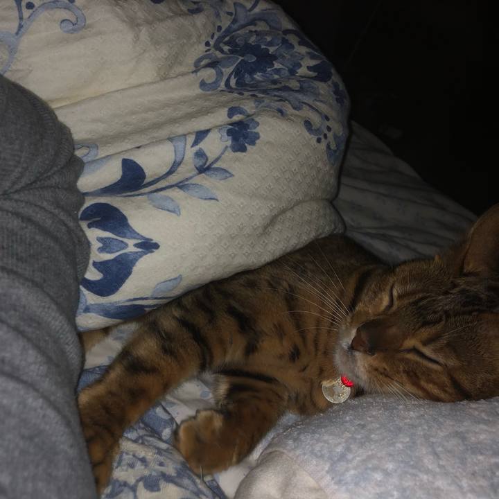 1292f1b7 8bcd 4dd7 8c79 7073346e9dff 1539357008381