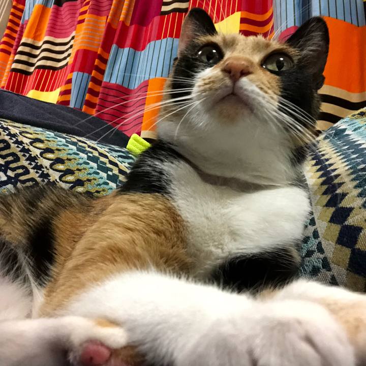 129308db ce0b 4761 a685 51236c05e611 1543932678080