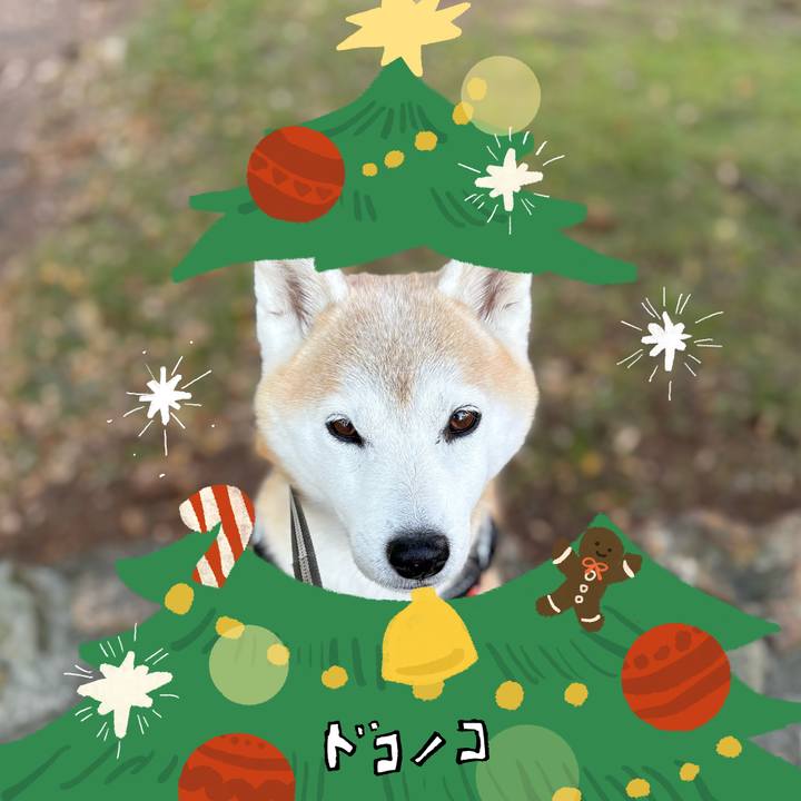 1293118d 1b1e 482e 969e c6745e8dff7b 1761894313229