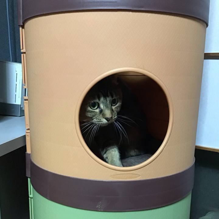 1293262e 920d 47b5 9fe0 89851af39620 1742817461183