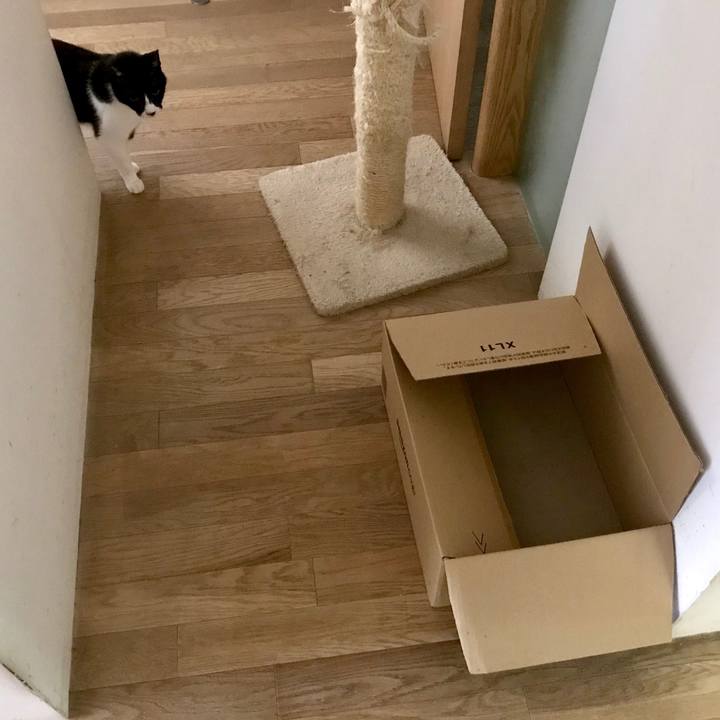 1293266f 2074 47dd bcc9 2d96380ecf5a 1533086312009