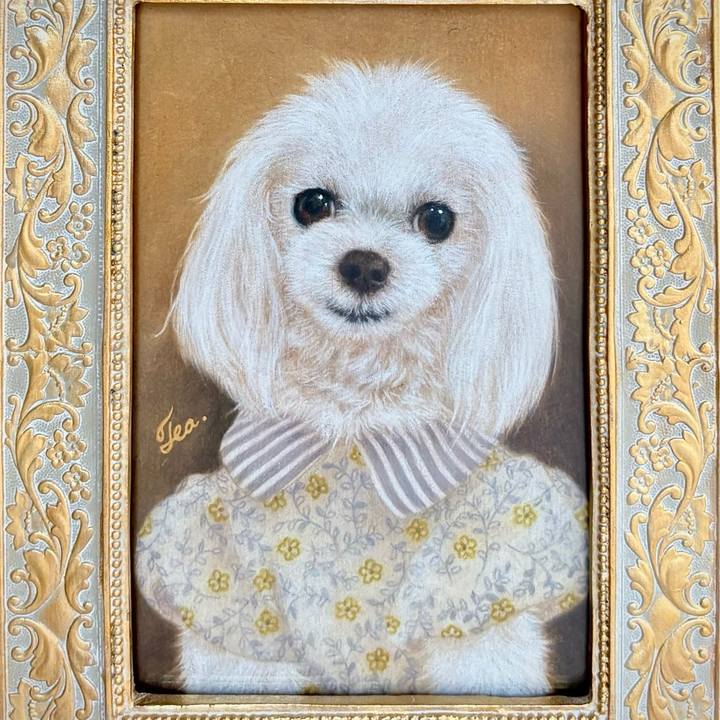 12933774 f16a 49c8 a8a8 263db5b33240 1745281703196