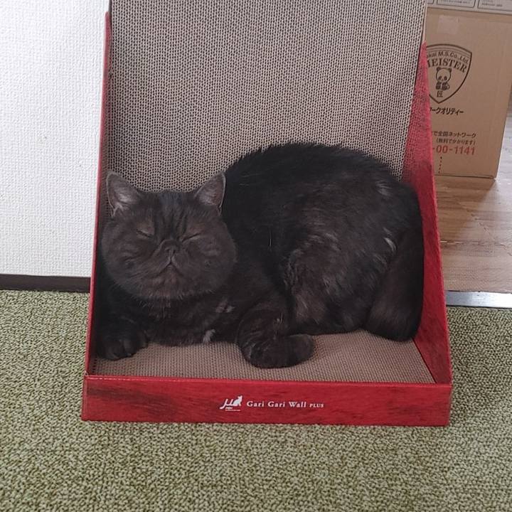 12933fcd 6711 4eec a466 f7cdcf9068e3 1627351419454