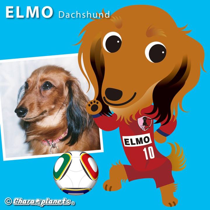 12937357 d5cc 4a60 9b68 4da46a4c32e0 1563767408223