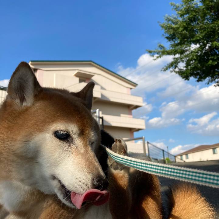 129376c7 e77d 4f19 bfd7 39797d6d6d35 1719651394833