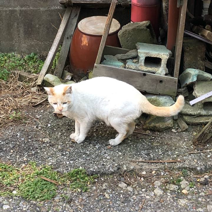 1293fb1d bcc4 4526 b625 f832d68d0182 1547047445305